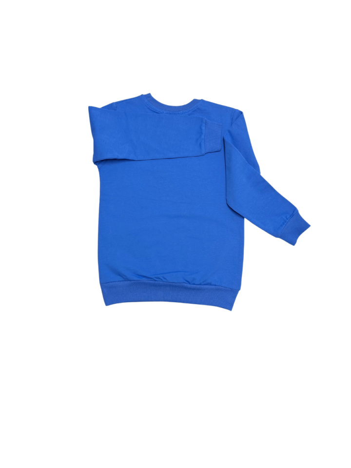 ÇIT ÇIT Baskılı Erkek Sweat